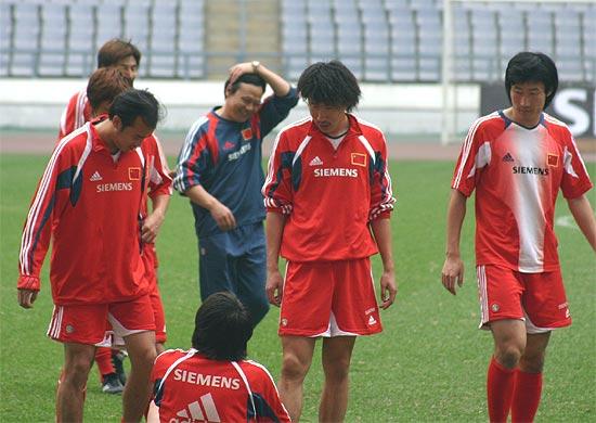 Sctv15